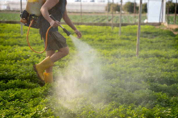 Best Local Pest Control Services  in Marshallville, GA