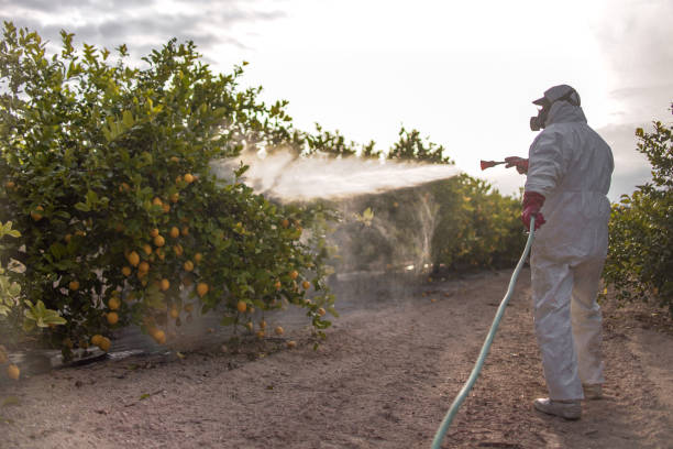 Best Affordable Pest Control Services  in Marshallville, GA