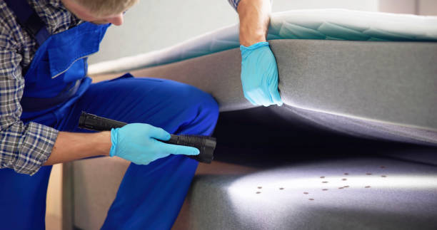 Best Mosquito Control Services  in Marshallville, GA