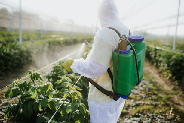 Best Ant Control Services  in Marshallville, GA